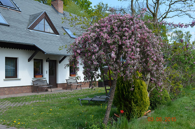 Blick auf das Ferienhaus