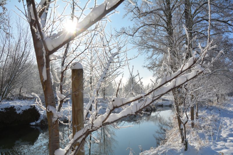 Schnee auf den Bäumen am Wasser