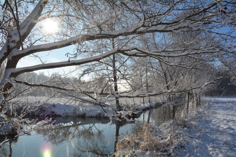 Winterlandschaft mit eingeschneiten Bäumen