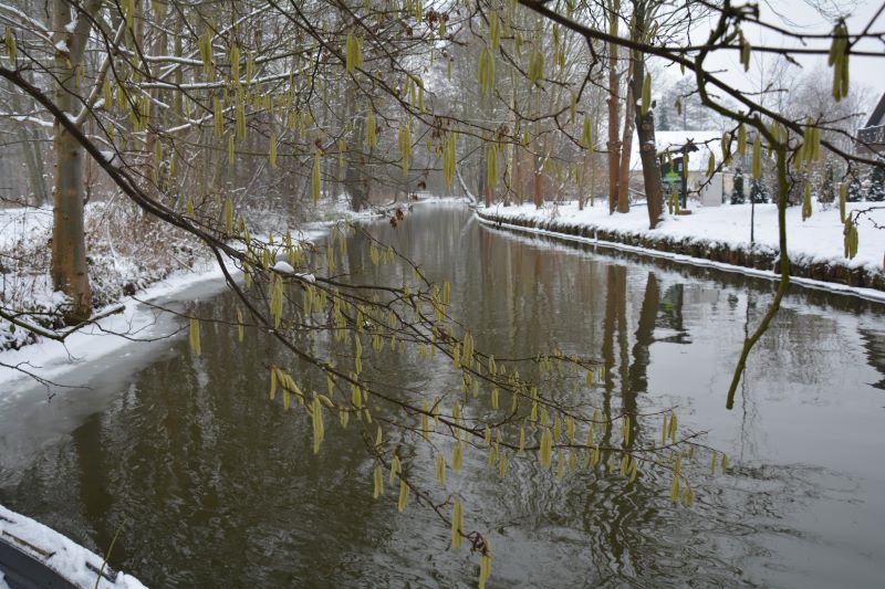 Winterlandschaft
