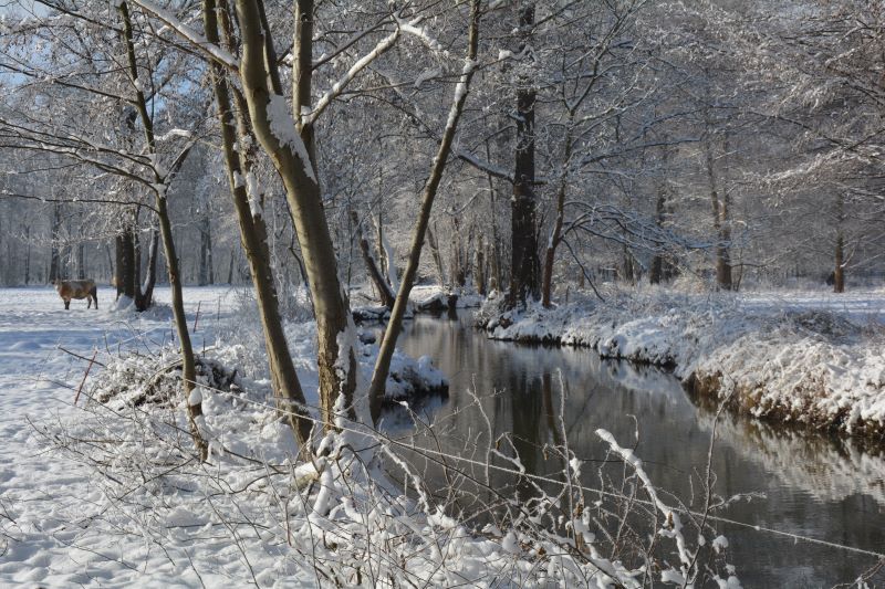 verschneite Landschaft am Wasser